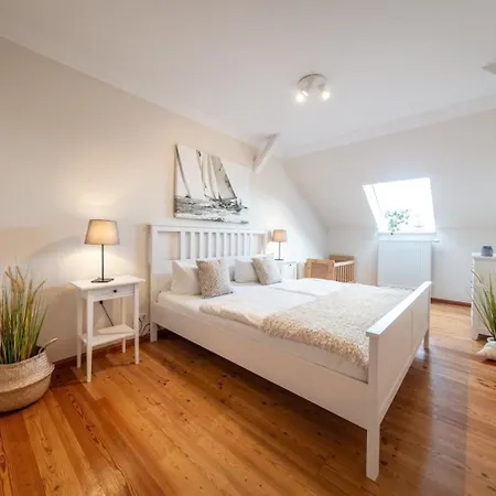 Sturmmoewe Westermarkelsdorf