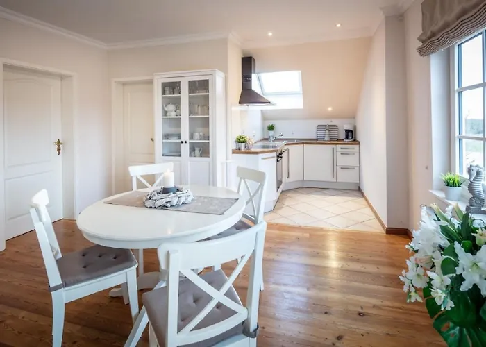 Sturmmoewe * Westermarkelsdorf