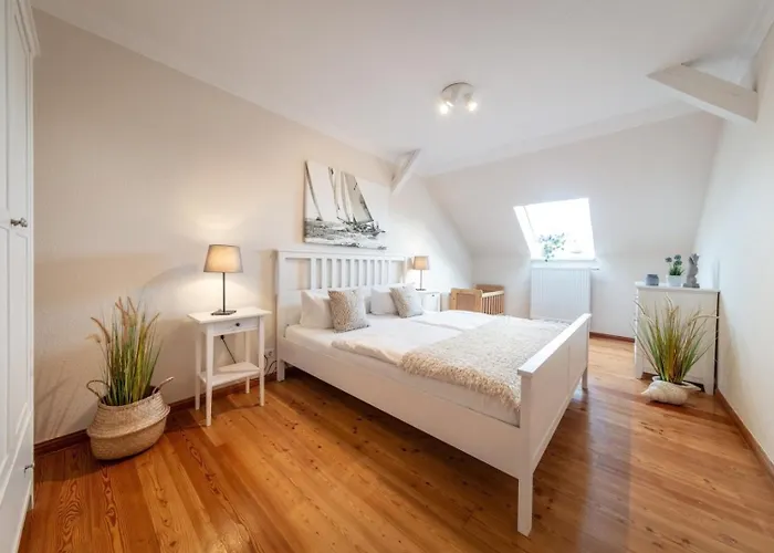 Sturmmoewe Westermarkelsdorf